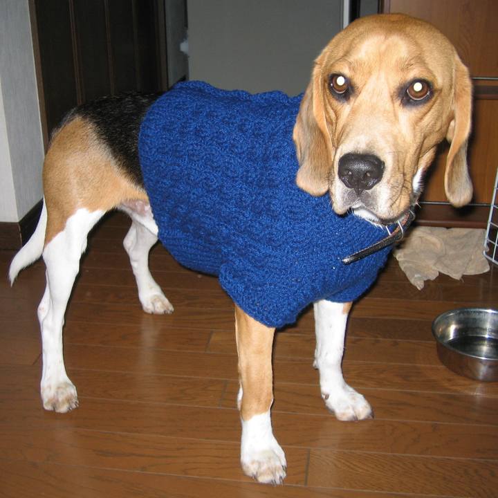 E469e664 01db 4a45 9395 38aa494d5bf8