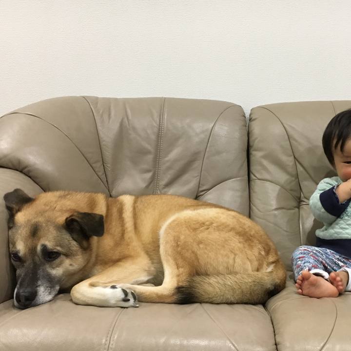 E46ab708 5a7f 4fad a5e2 d86f611381a5