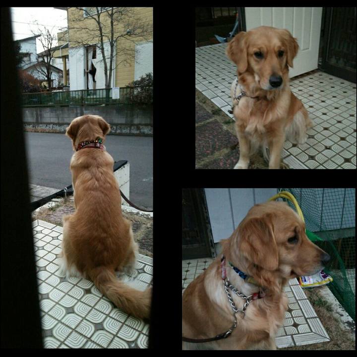 E46b5fee b987 4396 8dd8 77b68fe7069e