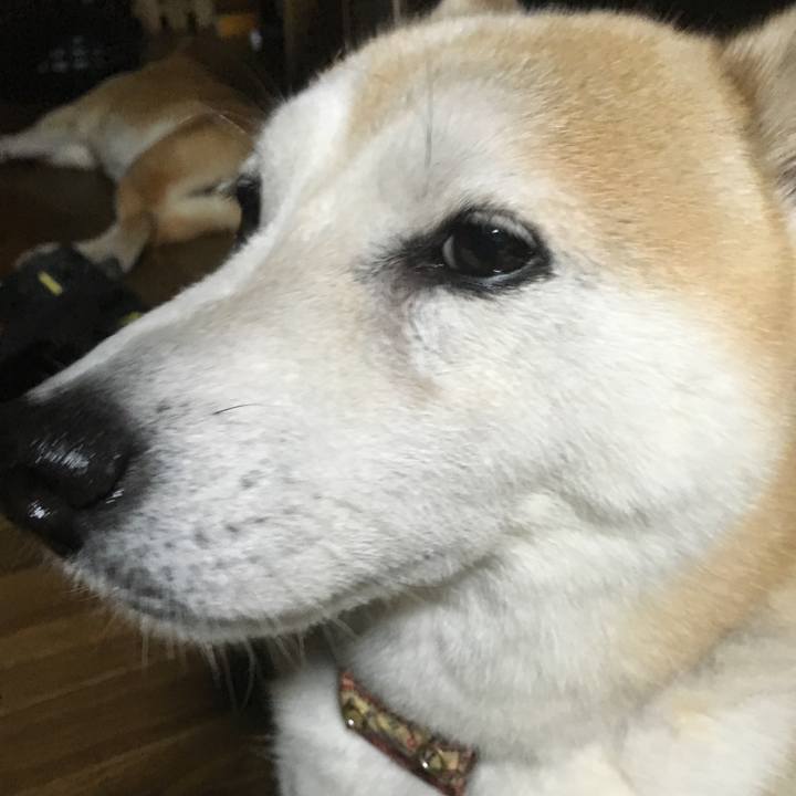 E46b629f bffb 4dc4 b656 451c600130cf