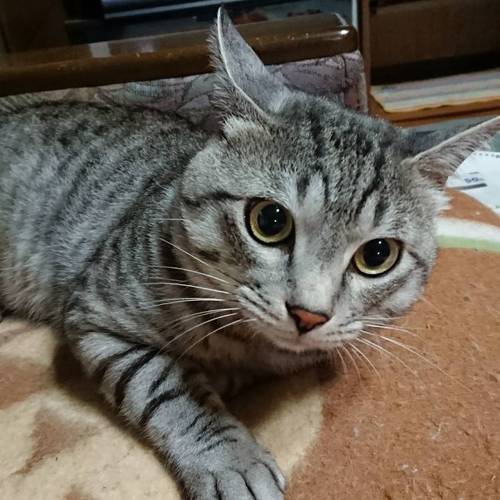 E46beacc 3e2f 4c85 b7a4 7c2d6e15a2ef