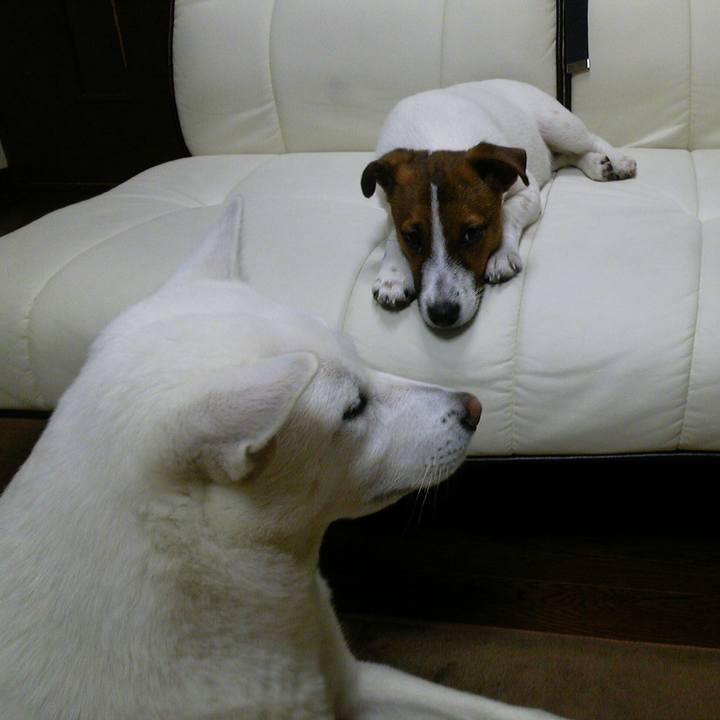 E46c42b4 4b6b 4c3f 8976 6be086103a3c