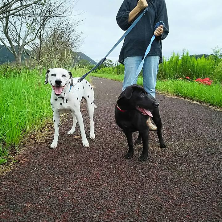 E46c6bd1 ac92 4c56 a0fd 44855ff004e9