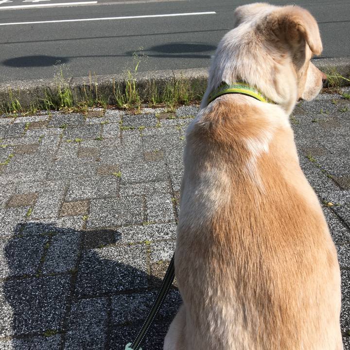 E46c6eb7 264a 4806 bcb9 1184c661e6f5