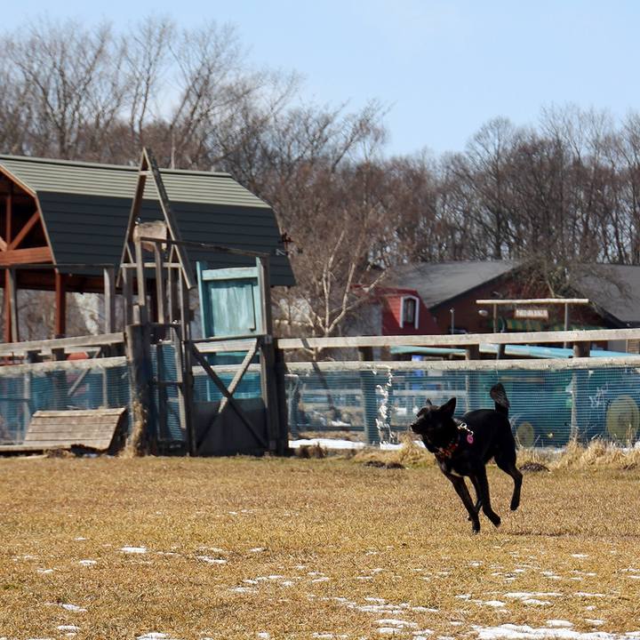 E46d2893 be7f 40c5 a8b8 398c7b533ac1