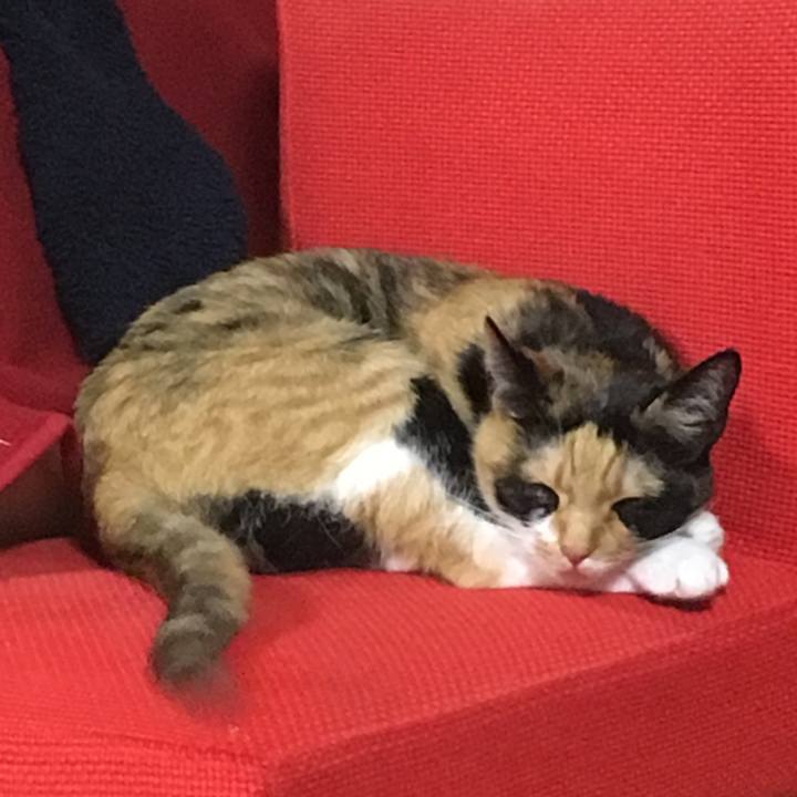 E46d5ce8 3f87 49dc b043 4a708e03bb59