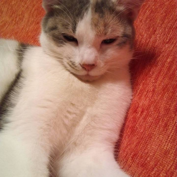 E46d6a4a ab36 4459 89c6 31d59b499340