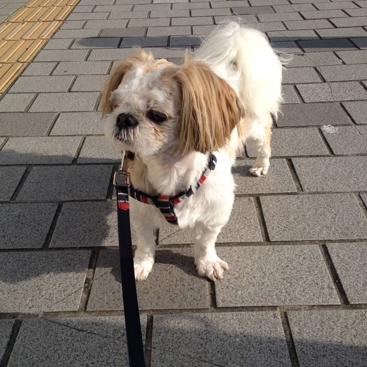 E46dcb12 d5d1 415a 9328 25847c855734