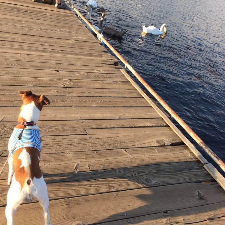 E46e2a22 bb82 46b9 b93a e1c16fa312d4