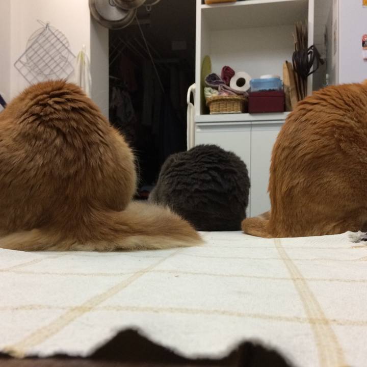 E46e357d c80c 439f ba3f 712879a1edf6