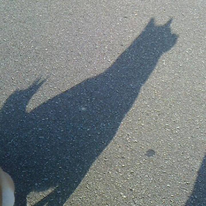 E46f2fe6 0263 450d b76f 9e521f2090ac