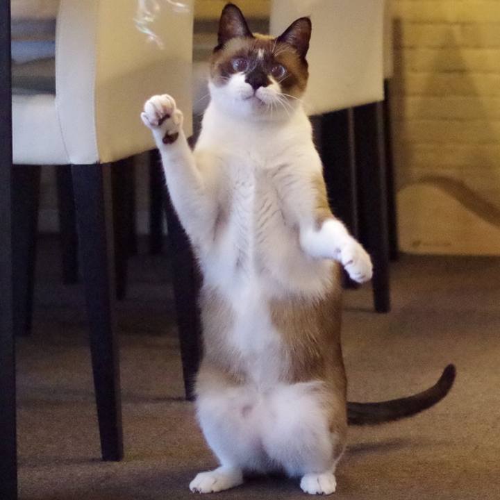 E46f4e1a b8a0 4fbf 96cc ee81b1f6e644