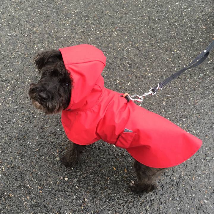 E46f7437 33ee 4f22 a7a1 f66a7d11fdc6