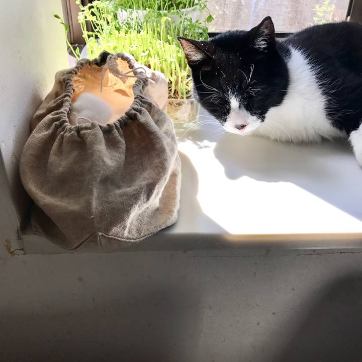 E46fbd85 e336 4837 aec8 9d53a8de41c8