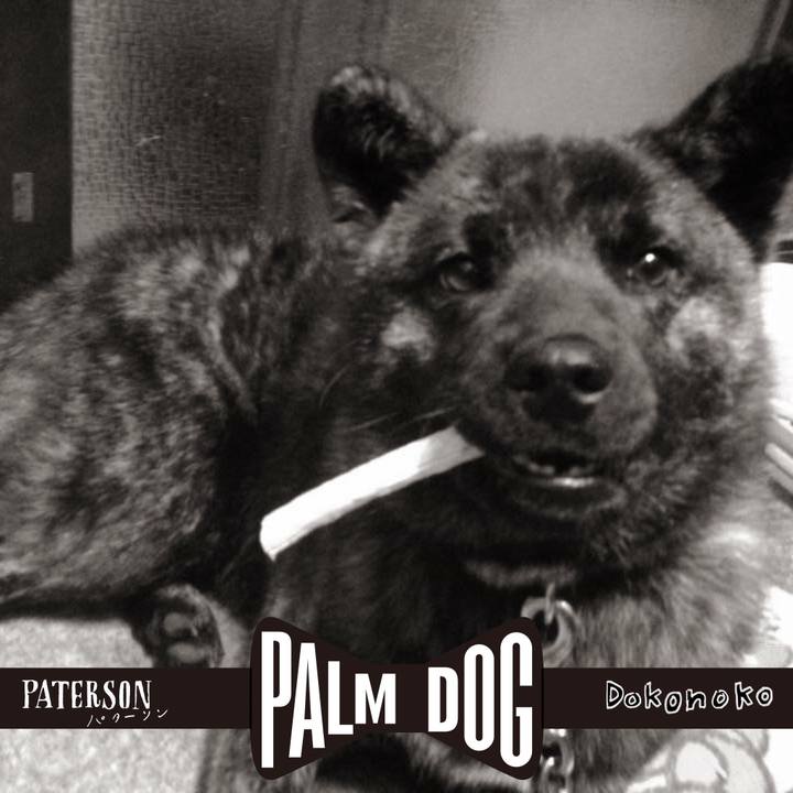 E46fd339 57ce 4eee 8941 cff724a1116c