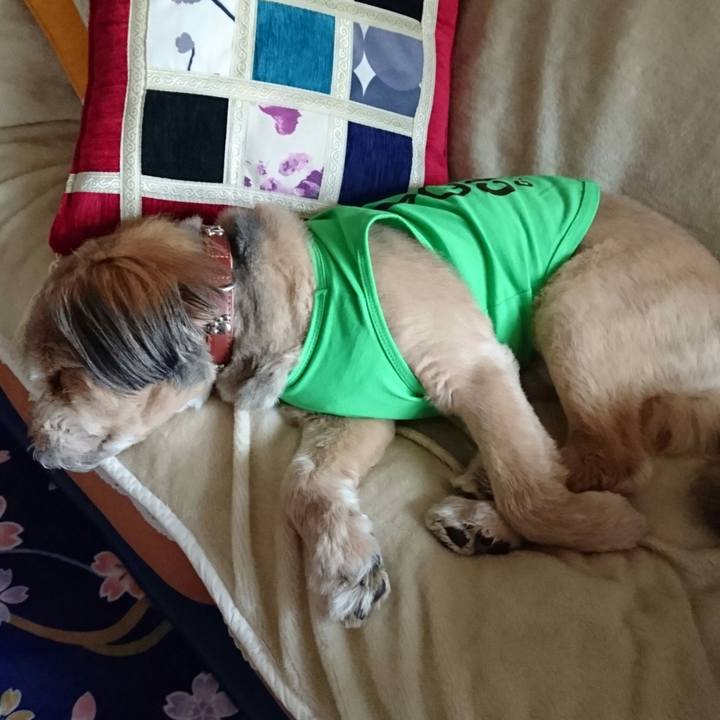 E471aab4 c5e8 46c1 8a2d 6ffffab8cd00