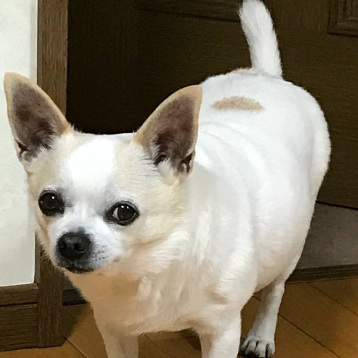 E472146d 33ff 4d93 a943 73557573bf05