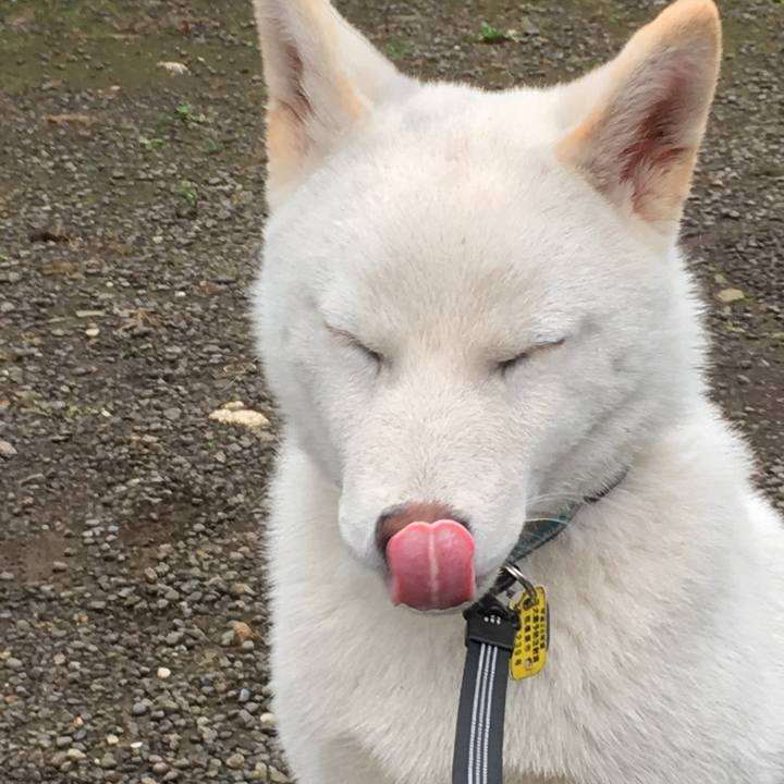 E4724372 d084 4880 9380 3e6fa486c42b