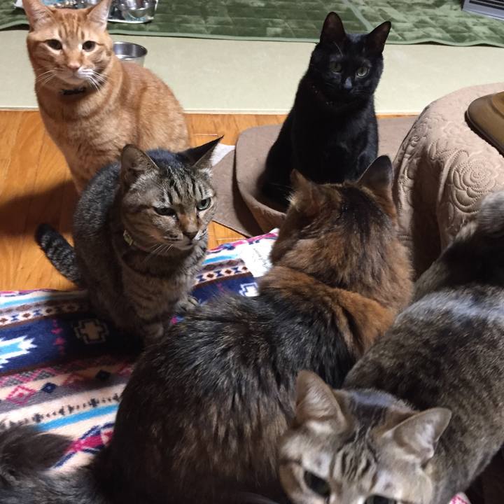 E4741134 6b1a 4564 bbf9 74e89c9f932f