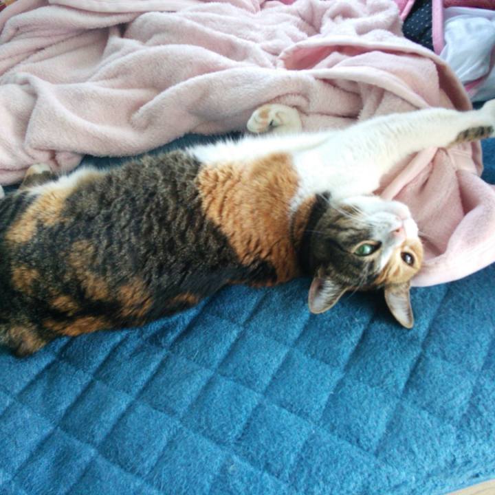 E4745a2f 15d5 4e4e a4cb e3df4f87d6cb