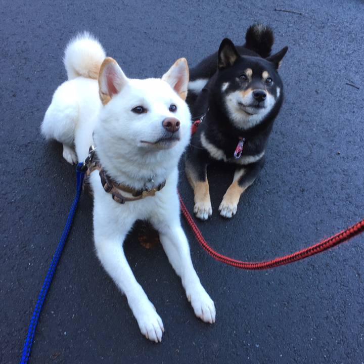 E4748e5a e450 4811 8d38 1e14aa29be71