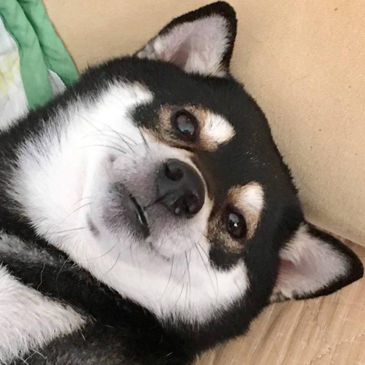 E474dc49 0b98 41c2 aad7 608a12a4643f