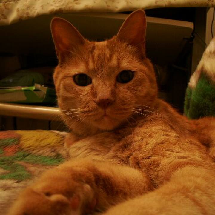 E474dde3 d403 425d 8519 effb3eb617cc