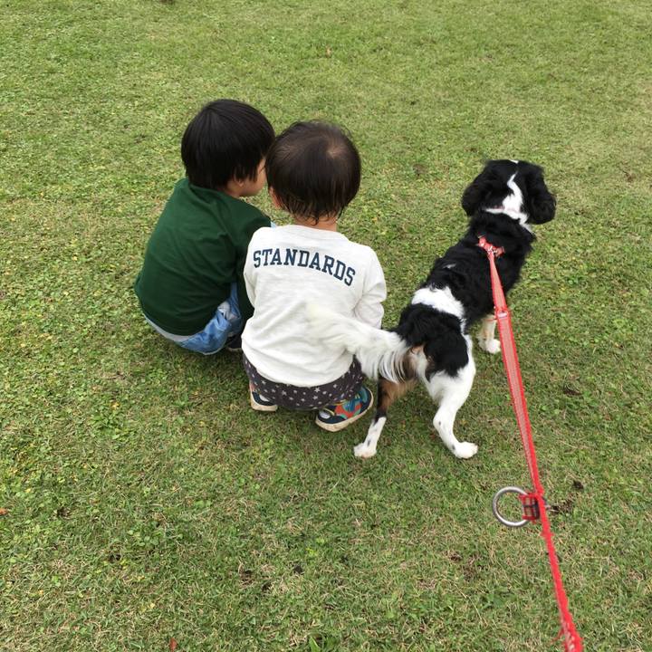 E47555ca 1a66 4060 9318 5c0d067339d1