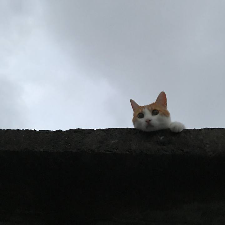 E4758ba3 f303 46fa 9b8f c0506a8bcf70