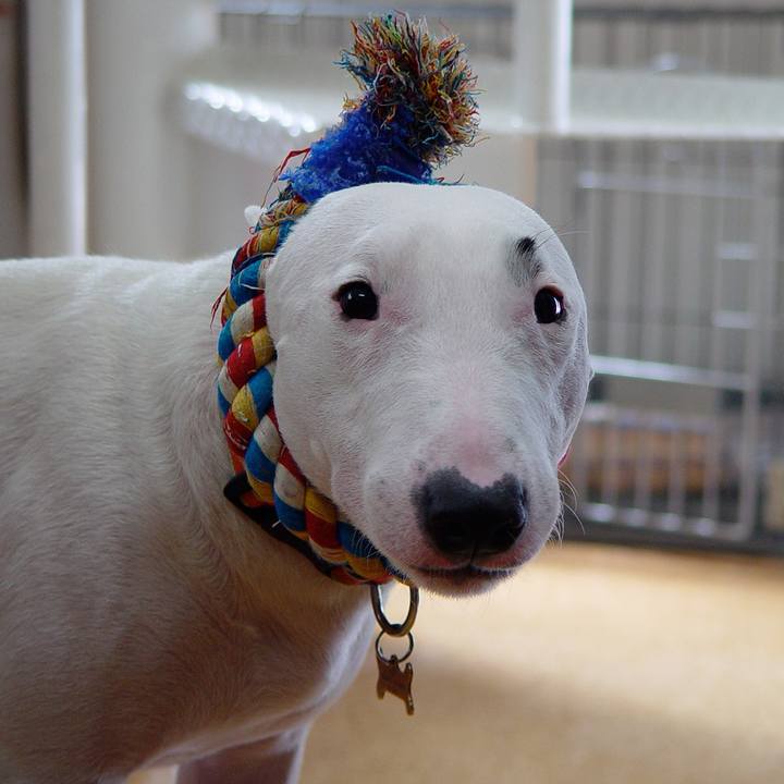 E476402d c7a7 47d5 8352 c10227bc84b1