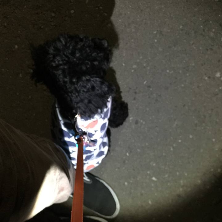 E47675ca 9181 444f b997 d6d90061d9db