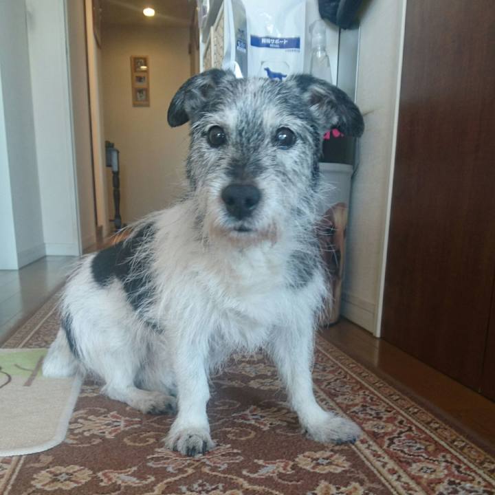 E476d1b5 b158 434c bf51 5e9e592341df