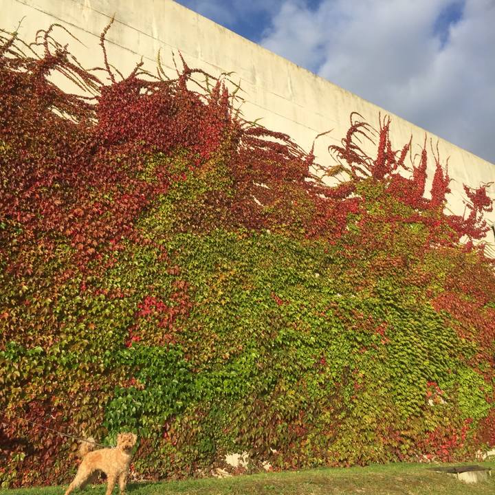 E477d9cc 0a83 4173 b3fa f14b39b2236e