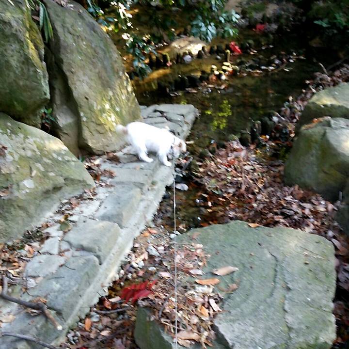 E478ce25 15f2 4b9f afa8 ff3b54ff9594