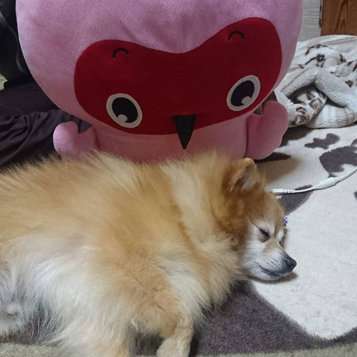 E47960d3 bbc5 4464 bbc6 db53ccca74a2