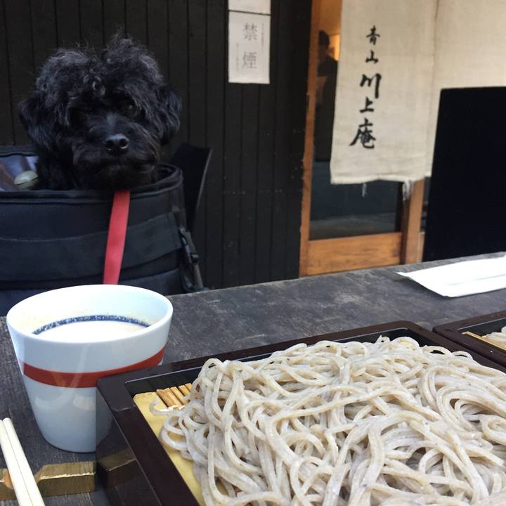 E479e7b0 98c4 4b07 8e81 5b45e5ce0856