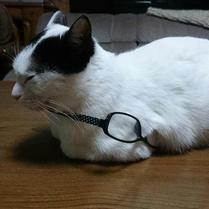 E47a2171 d225 4aae 9544 f85bddef1724