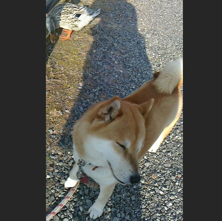 E47c2bea cc2e 45b4 a3e4 ad72583583dc