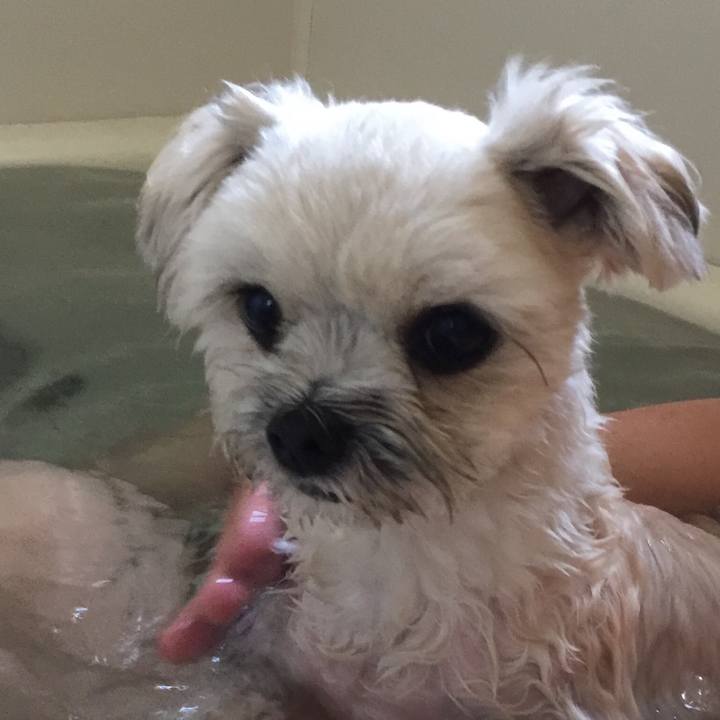 E47d533b c890 42ea 81f2 bd6d1ef2eee3