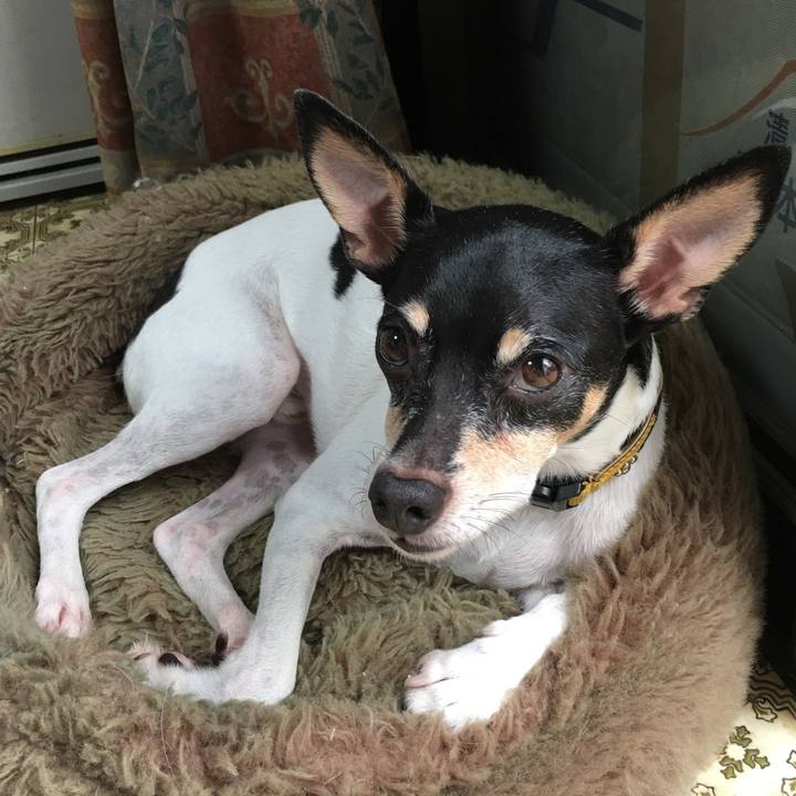 E47d56ce b996 4e06 86ff 06e50262aefe