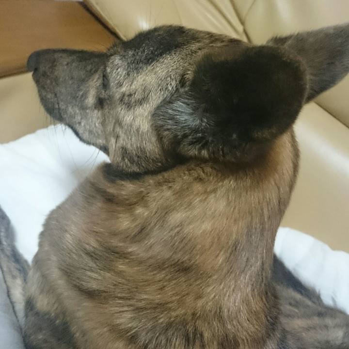 E47d7305 c05e 4e72 a325 0941712ac0c6