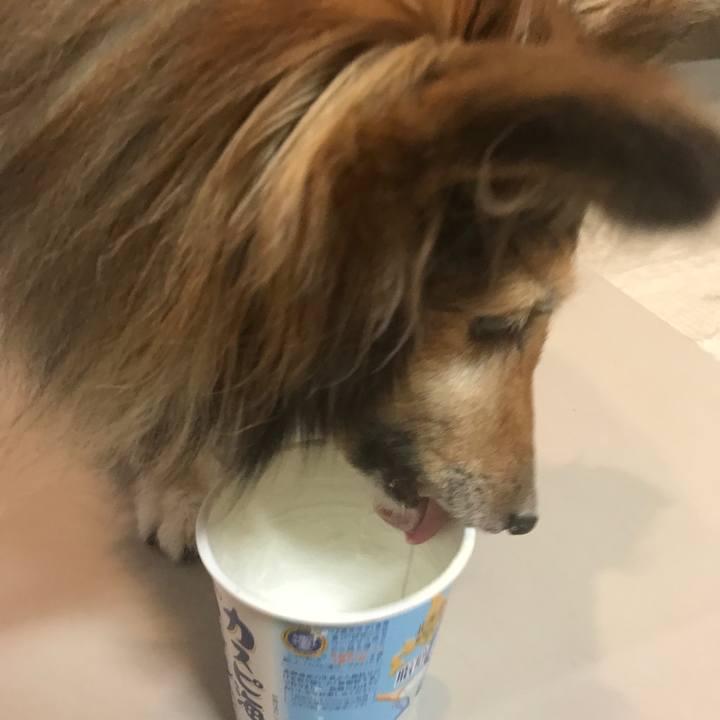 E47ede44 0105 48a1 8c43 ff17965d9d70