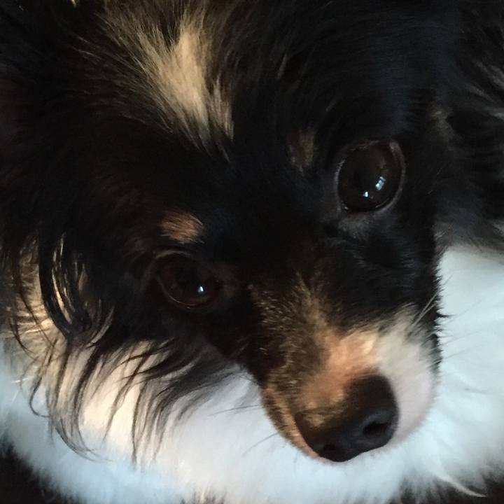 E47f9721 bbe4 48df 8bbf 733bf10689e4