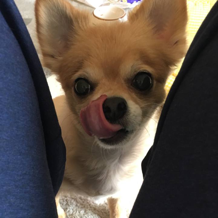 E47fd8cc 9bfa 43d8 9c3a 8dd8e1e47007