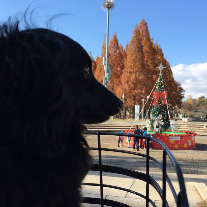 E4808893 ef20 4d2b b93e 69341299a1ac