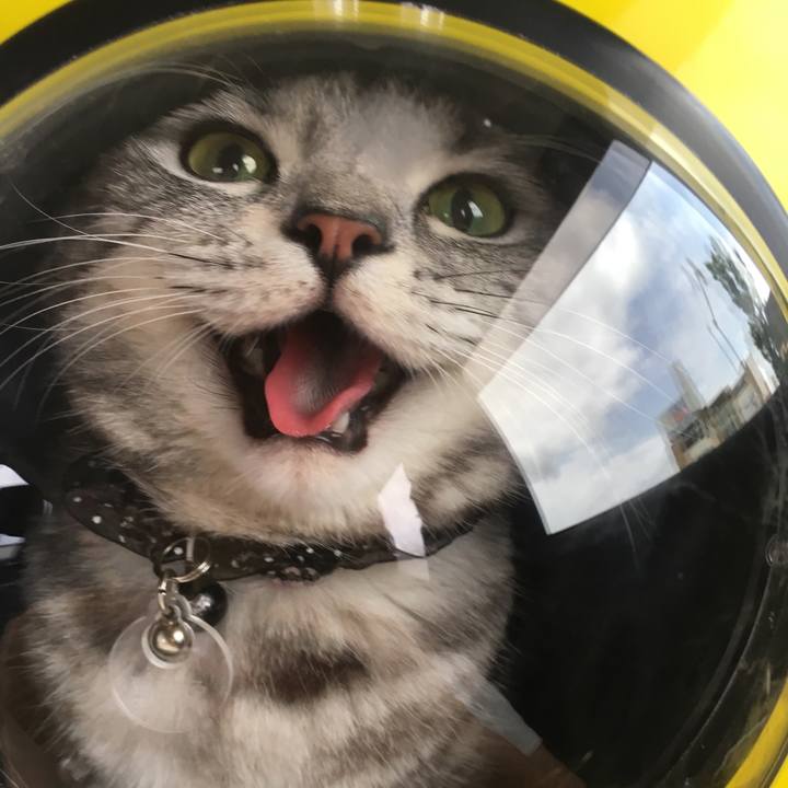 E4810221 c2ec 4335 a3a5 13dc16c5b67a