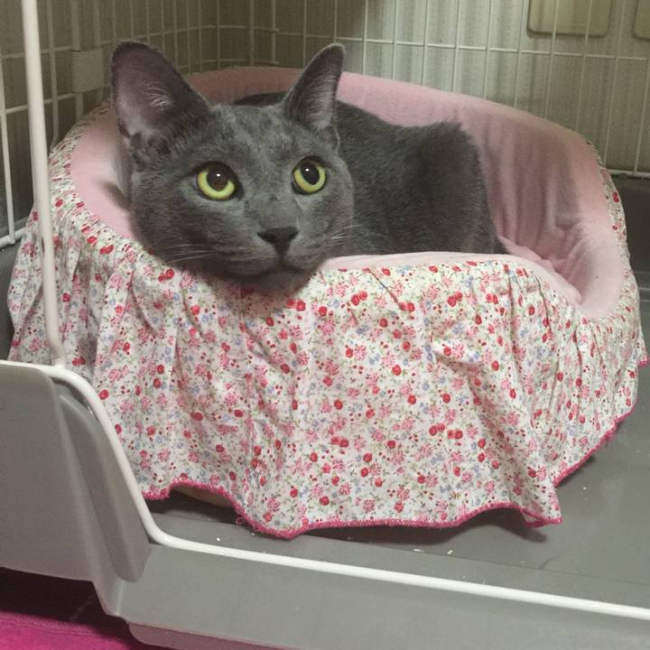 E48144df 1d1c 46e1 b31d 564c5abeee4d