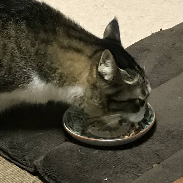 E4816a97 bab8 4627 8e31 a2b6897674dc