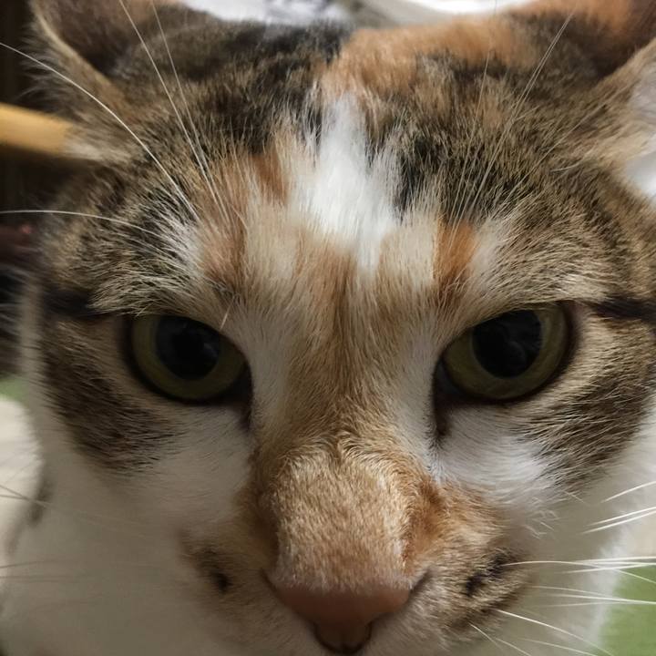 E481a303 82f7 4fe1 a2c3 76126f98fdcf