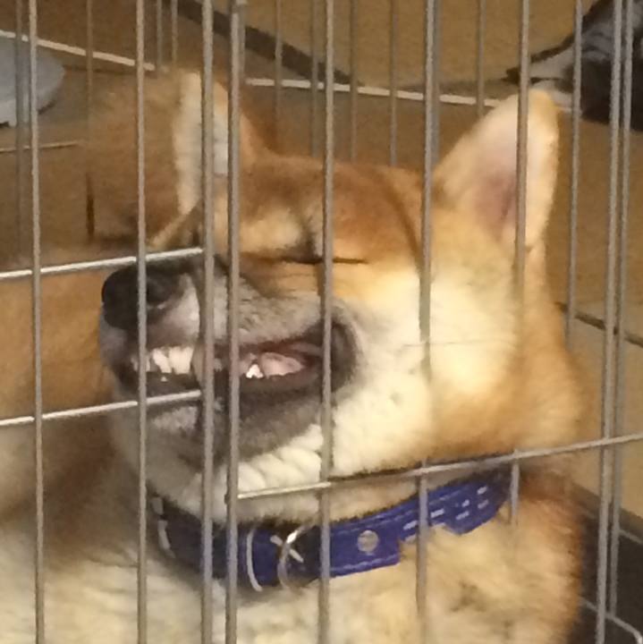 E4830796 7576 417e b59d 4d534f254bf3